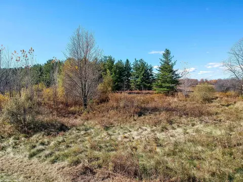 0 Duce, Avoca, MI 48006 photo 2