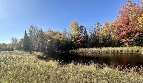 tbd Tyner, Chatham, MI 49862 photo 11