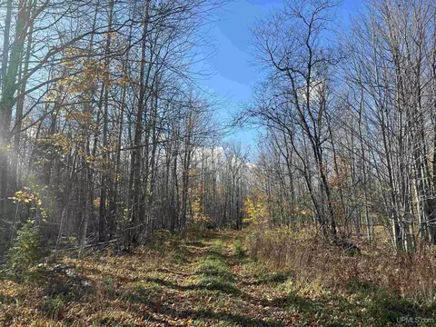 tbd Tyner, Chatham, MI 49862 photo 9