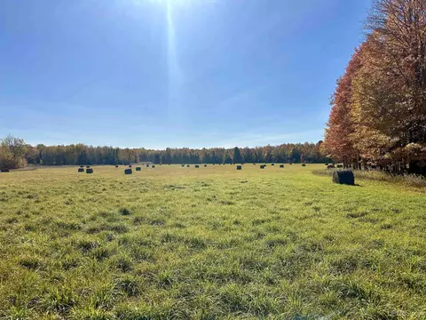 tbd Tyner, Chatham, MI 49862 photo 4