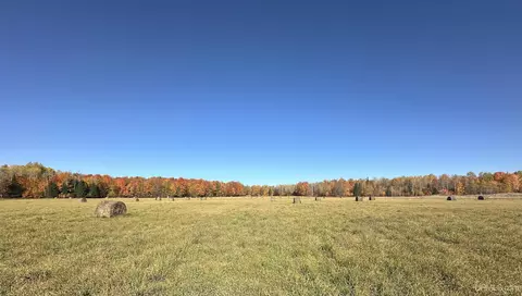 tbd Tyner, Chatham, MI 49862 photo 5