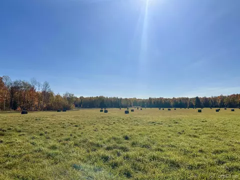 tbd Tyner, Chatham, MI 49862 photo 14