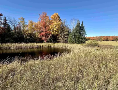 tbd Tyner, Chatham, MI 49862 photo 12