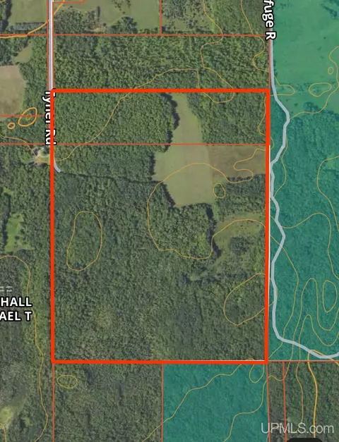 tbd Tyner, Chatham, MI 49862 photo 2