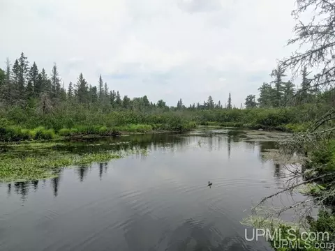 40 Acres Fh 16, Iron River, MI 49935