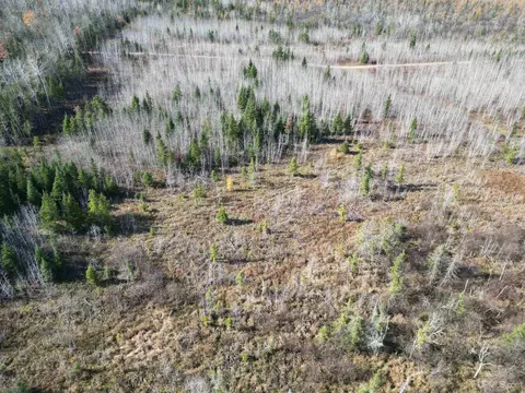 tbd Off 275 Rd 28 Acres, Gladstone, MI 49837