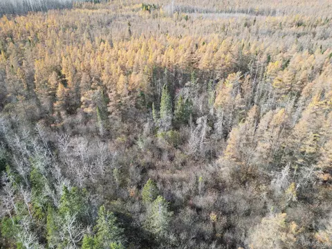 tbd Off 275 Rd 52 Ac, Gladstone, MI 49837