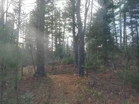 Exterior - 6037 Whippoorwill, Republic, MI 49879 photo 27 of 33