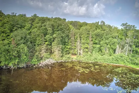 lot1 Petticoat Lk, Michigamme, MI 49862