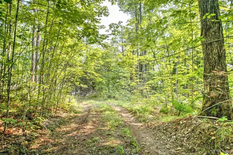 lot9 Petticoat Lk, Michigamme, MI 49862
