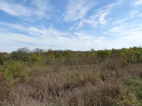 Parcel D Mcneil, Tecumseh, MI 49286 photo 2