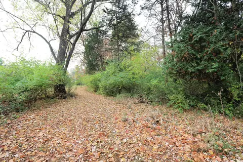 Exterior - 1569 Flushing, Flushing, MI 48433 photo 14 of 25