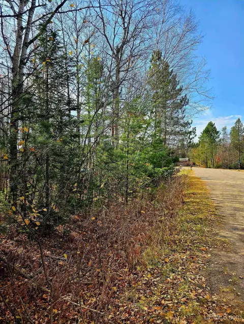 8 Lawer, Ishpeming, MI 49849 photo 4