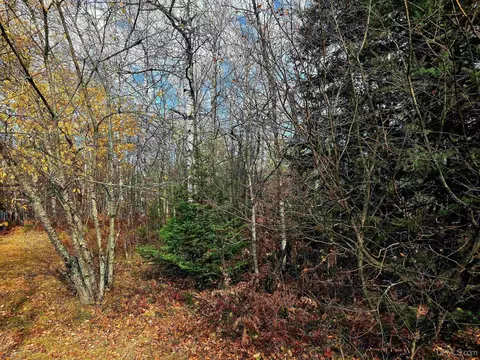 8 Lawer, Ishpeming, MI 49849 photo 5