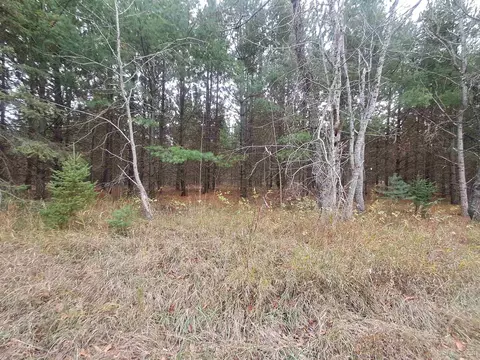 tbd Snuff Box, Hermansville, MI 49847