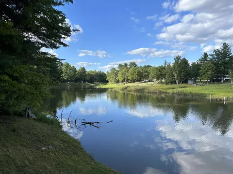 View/Area - 766 Rivers Ter, Gladwin, MI 48624 photo 1 of 11