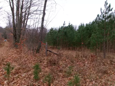 Nhn Entwood, Fife Lake, MI 49633