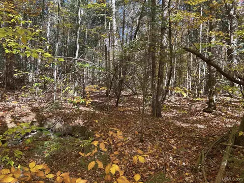 35 W Acres W Fed Forest Hwy 2253 Fetton, Manistique, MI 49854