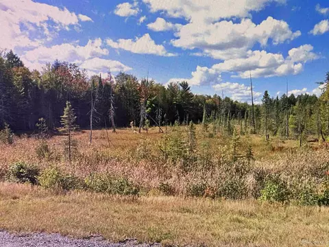 tbd Us 141, Covington, MI 49919 photo 15