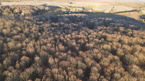 Off Of Cty M26 M.5, Ralph, MI 49877