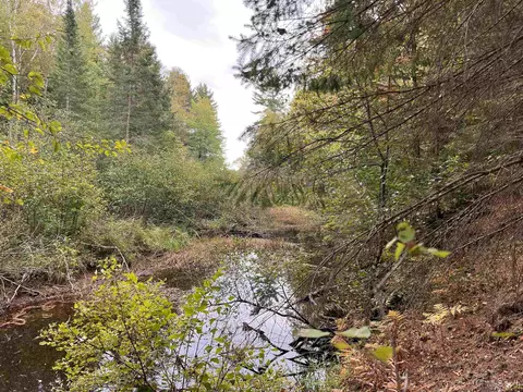 tbd Railroad, Deerton, MI 49855