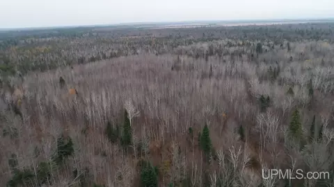 tbd Off Cr 407, Newberry, MI 49868
