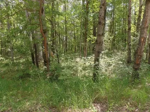 lot473 Deerwood, Roscommon, MI 48653