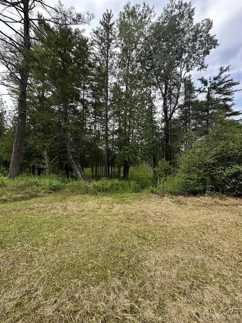 3942 Co 426, Arnold, MI 49818 photo 29