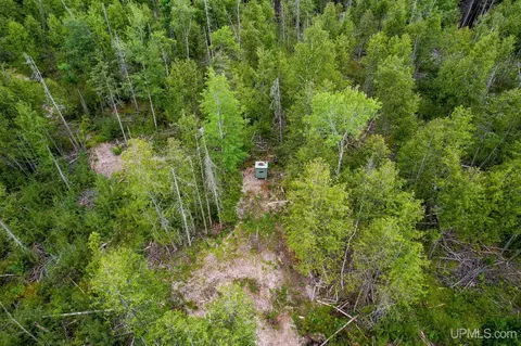 3942 Co 426, Arnold, MI 49818 photo 24