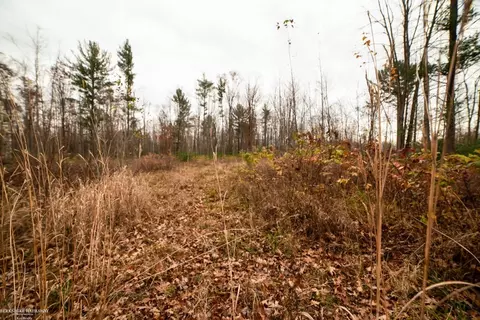 00 E Huron, Omer, MI 48749 photo 39
