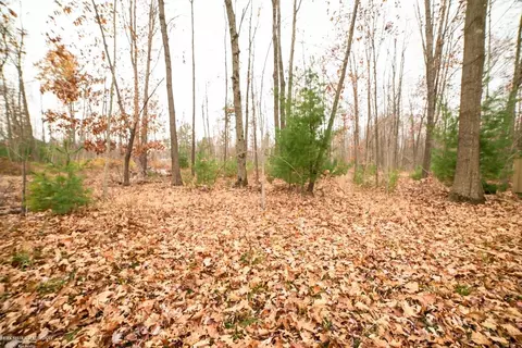 00 E Huron, Omer, MI 48749 photo 43