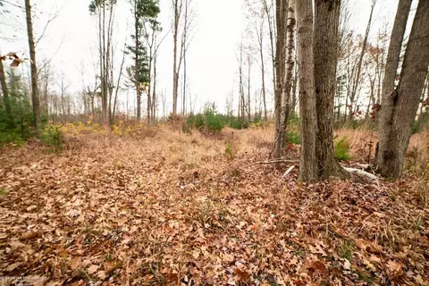00 E Huron, Omer, MI 48749 photo 41