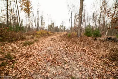 00 E Huron, Omer, MI 48749 photo 44