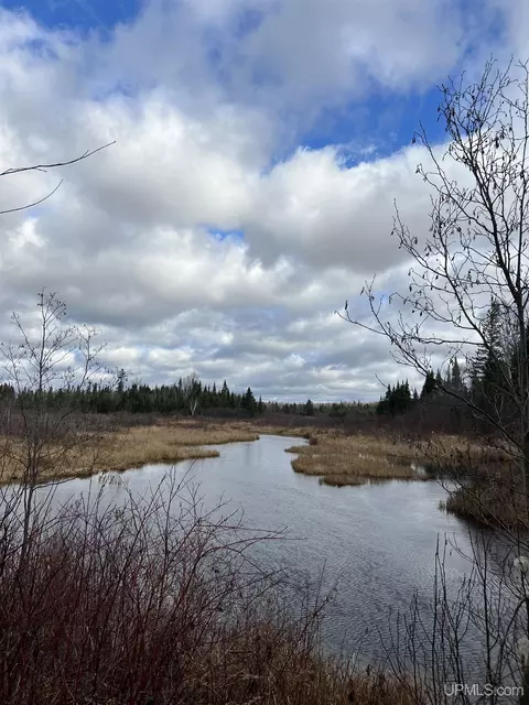 tbd Deer Lk, Crystal Falls, MI 49920