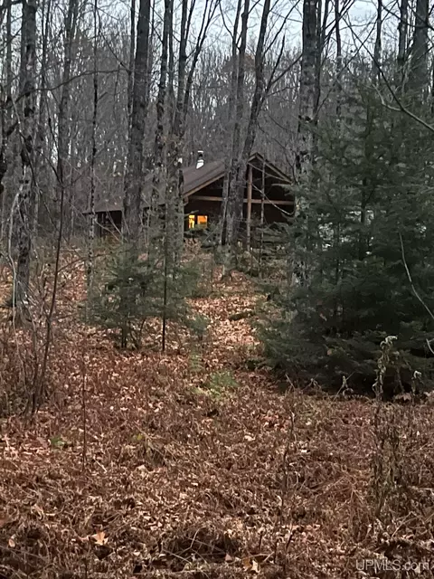 80 Acres Ffr 3500, Iron River, MI 49935