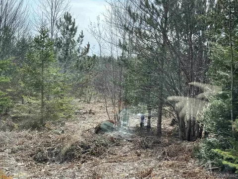 6791 Hickey Creek Truck # N, Manistique, MI 49854