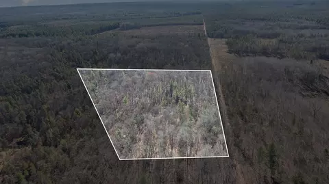 Vl 11.09 Acres Owens, Houghton Lake, MI 48629