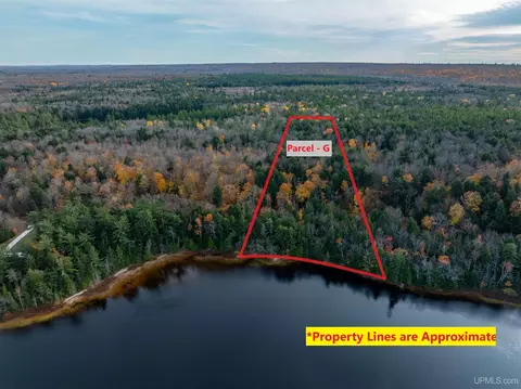Parcel G Deer Lake, Au Train, MI 49806