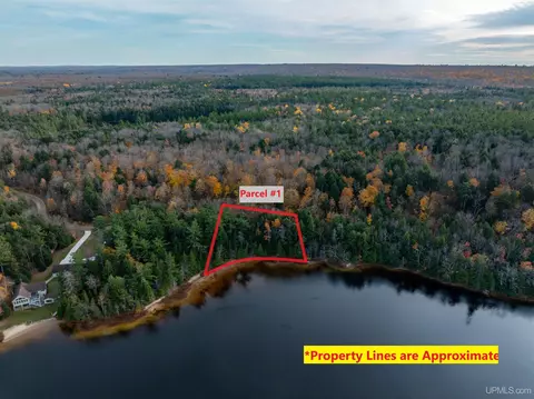 Parcel 1 Deer Lake, Au Train, MI 49806
