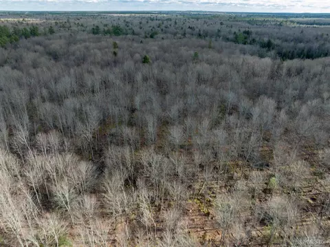 tbd Raspberry, Munising, MI 49862 photo 20
