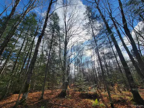 e6574 Michigan 94, Munising, MI 49862 photo 6