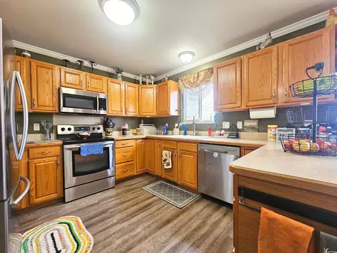 2515 E Dodge, Clio, MI 48420 photo 9
