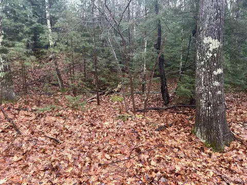 20 5 Ln Twin Spgs, Rapid River, MI 49878