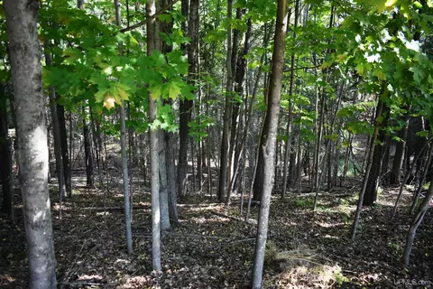 10948 S 75, Rapid River, MI 49878 photo 8