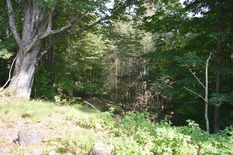 10948 S 75, Rapid River, MI 49878 photo 6