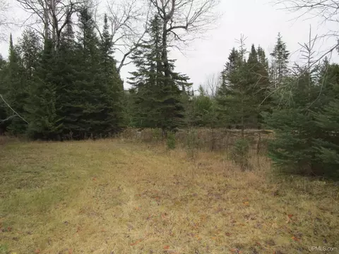 3844 9th Ln, Bark River, MI 49807 photo 10