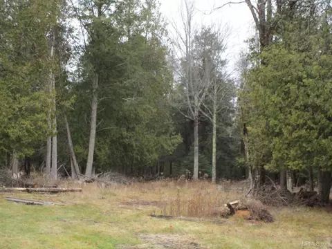 3844 9th Ln, Bark River, MI 49807 photo 8