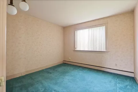 315 E Genesee, Frankenmuth, MI 48734 photo 34