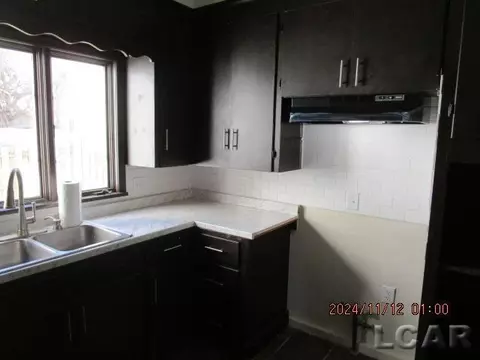 508 Frank, Adrian, MI 49221 photo 27