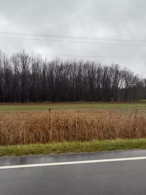 V/l S Sasse, Hemlock, MI 48626 photo 2